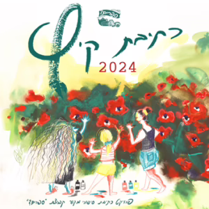 איור הפרויקט